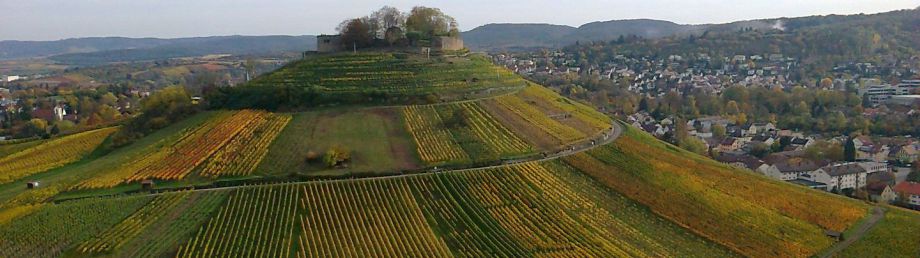 Ruine Weibertreu